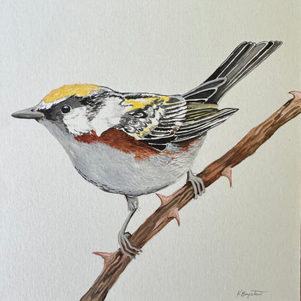 Collection image for: Original Artwork