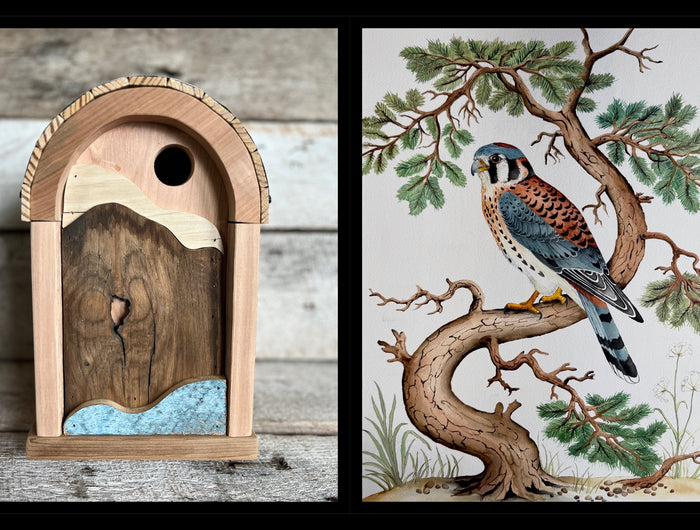 <h2>BLUEBIRD'S VIEW</h2>