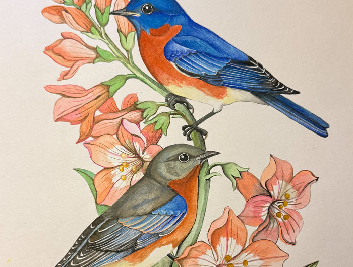 <h2>BLUEBIRD'S VIEW</h2>