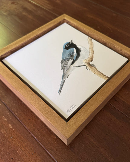 Black-throated Blue Warbler