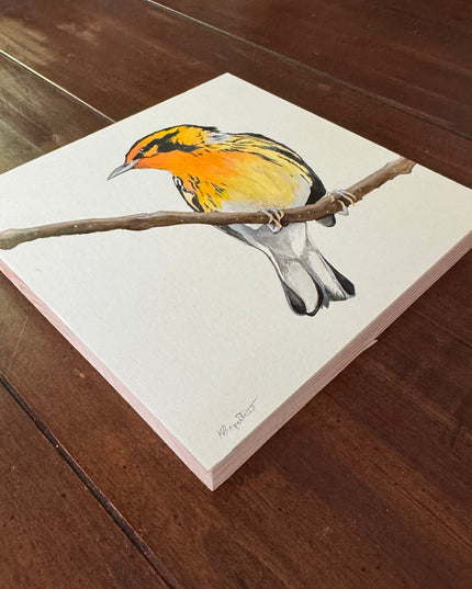 Blackburnian Warbler