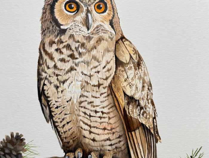 <h2>BLUEBIRD'S VIEW</h2>